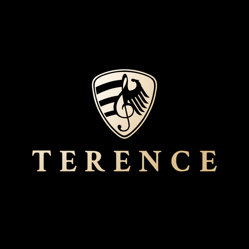 熱銷榜上的鍵盤樂(lè)器品牌——TERENCE